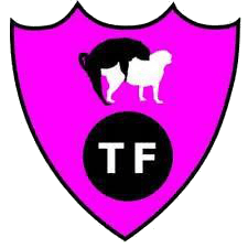 Escudo de Tacataca Fuerte